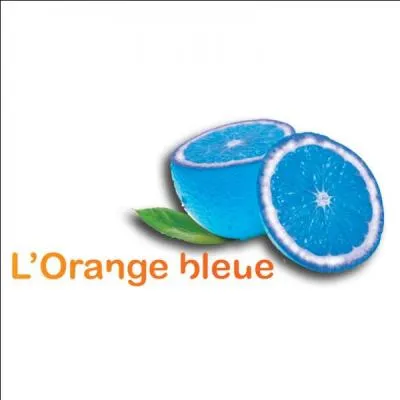 L'enseigne L'orange bleue est une licence franaise de clubs. Dans quel domaine se distingue-t-elle ?
