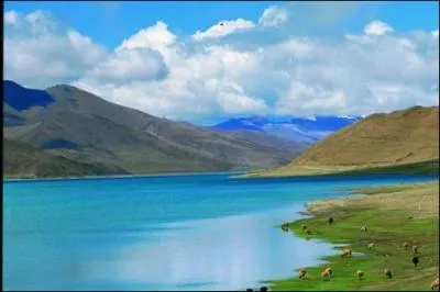 Le fleuve bleu est l'ancien nom d'un trs grand fleuve d'Asie. Comment se nomme-t-il actuellement ?
