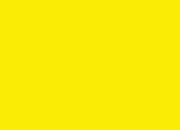 Quiz Quizz jaune