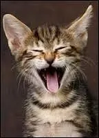 Otez-moi une lettre, tez-m'en deux, tez-les moi toutes, je reste toujours le mme ! Qui suis-je ?