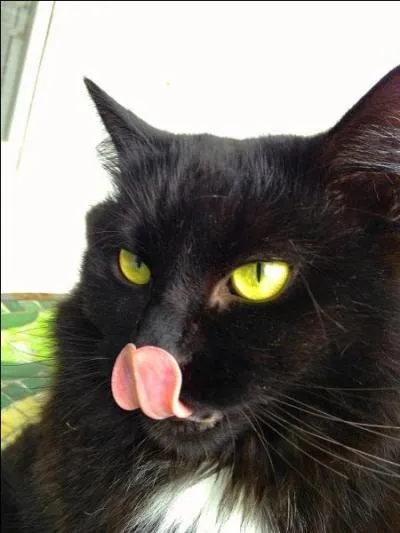 Qu'est-ce qui coule mais ne se noie pas, a une gorge mais ne parle pas, a un lit mais ne dort pas ?