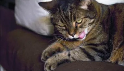 Je suis  la fin du matin, au dbut de la nuit, au milieu de la journe, absent du midi, deux fois dans l'anne. Qui suis-je ?