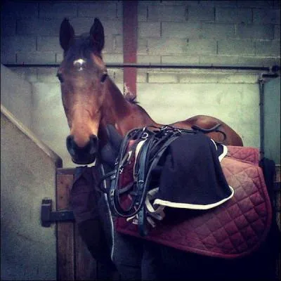 Que faut-il faire aprs son cours ?