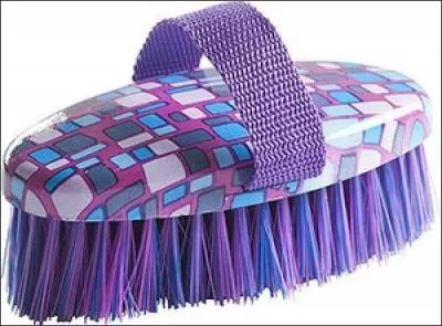 Comment s'appelle la brosse sur l'illustration ?