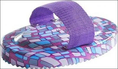 Comment s'appelle la brosse sur l'illustration ?