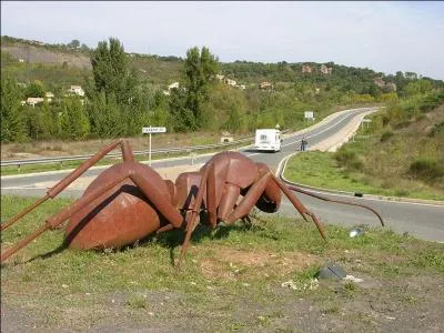 A votre avis, si l'on pesait toutes les fourmis existantes, cela reprsenterait combien (en pourcentage) par rapport  l'ensemble du monde animal ?