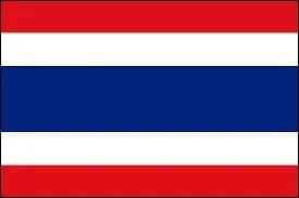 A quel pays appartient ce drapeau ?