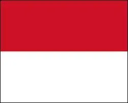 A quel pays appartient ce drapeau ?