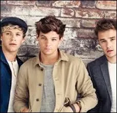 Louis Tomlinson est n le :