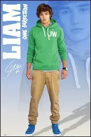 Liam Payne a peur des :