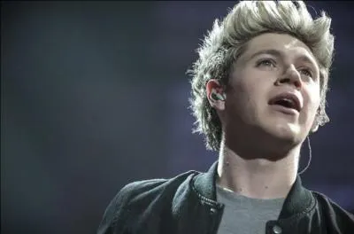 De qui Niall Horan est-il fan ?