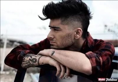 Quel membre du groupe a t lu  le plus styl en 2013  ?