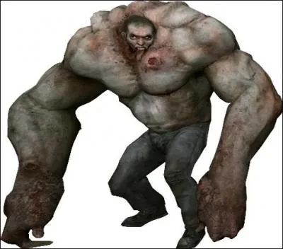 Quelle est cette crature