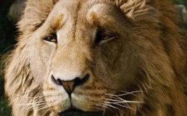 Quiz Monde de narnia