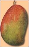 Reconnaissez-vous ce fruit originaire d'Asie ?