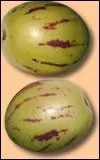 Quel est ce fruit appel aussi  poire melon  ?