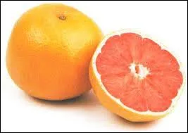 Qu'est-ce qu'un pomelo ?