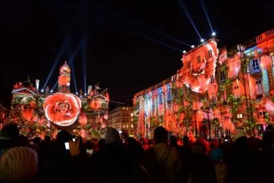 Des explosions de magma et une pluie de roses ont bloui les 800 000 spectateurs qui ont assist  la 15e dition de la Fte des Lumires, en 2013,  :