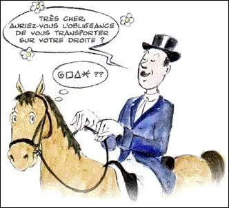 Vocabulaire - En quitation, que dsignait anciennement (17e, 18e sicles)  une houssine  ?