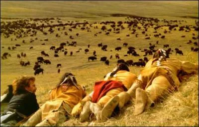 La chasse aux bisons dans les plaines du Dakota du Sud restera une des scnes mythiques du film. Quel organe du bison John Dunbar est-il invit  manger devant la tribu en rcompense du succs de la chasse ?