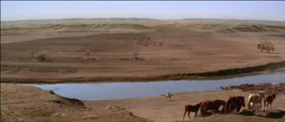 Alors que les Indiens s'apprtent  lever le camp, John Dunbar se rappelle avoir oubli son journal au Fort Sedgewick. Il dcide d'y retourner. Quelle surprise l'attend ?