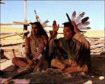 Aprs le succs inattendu du film, Kevin Costner est rest attach  la cause indienne. Quelle(s) action(s) a-t-il dcid de mener ?