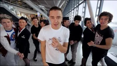 Quel membre de One Direction est Irlandais ?