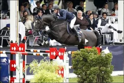 Comment se nomme ce cheval ?