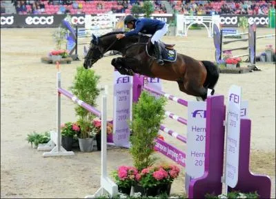 Qui est ce cavalier sudois ?