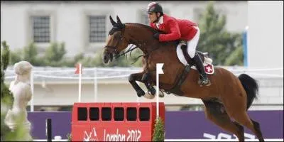 Quel est le nom de cet hongre par Kannan ?