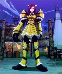 Comment s'appelle cette armure ?