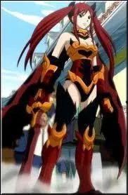 Comment s'appelle cette armure ?