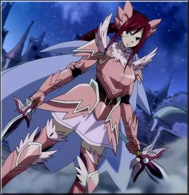 Comment s'appelle cette armure ?