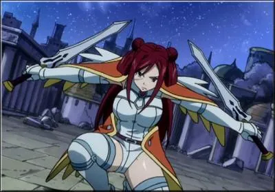 Comment s'appelle cette armure ?