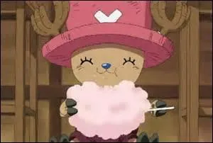 Tony Tony Chopper a-t-il mang� un Fruit du D�mon ?