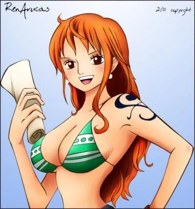 Comment Nami a-t-elle �volu� apr�s ces ann�es pass�es ?