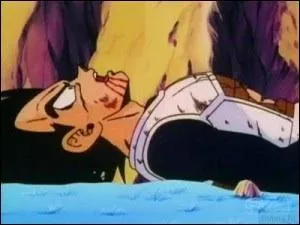 Qui a tu Vgta sur Namek ?