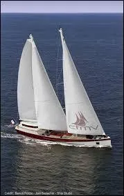 Quel duo a chanté ''Sous le Vent'' ?