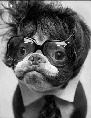 Dans quel pays sont nes les premires lunettes de correction de la vue ?