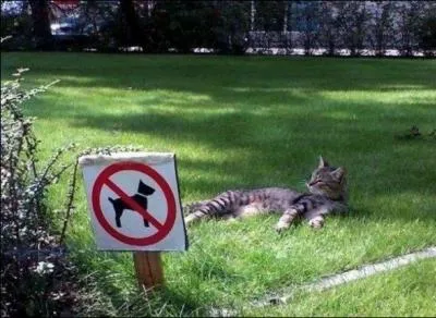 Sous quel sicle est officialis le premier panneau d'interdiction en France ?