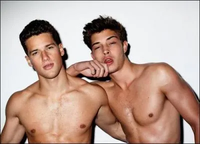 Il a commenc sa carrire en :