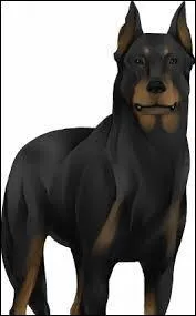 Comment s'appelle le chien de Castiel ?