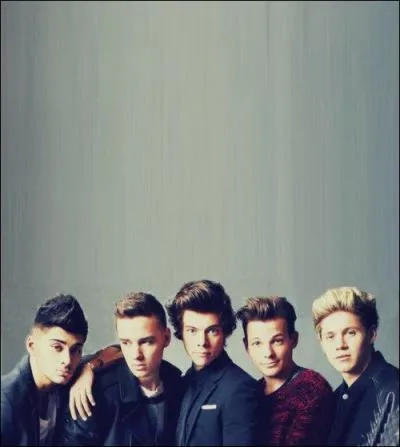Les One Direction se sont forms  :