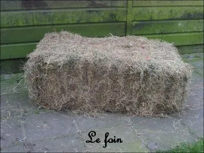 Avec quoi fabrique t-on le foin ?