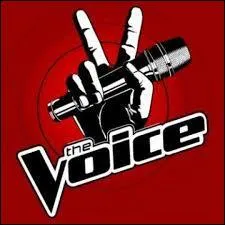 Sur quelle chane retrouvons-nous  The Voice  ?
