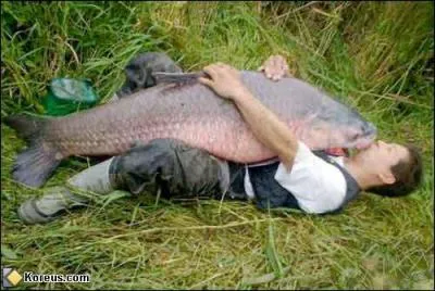 Si ces deux-l font des petits, ce sera dans le journal, qui est dessus ?