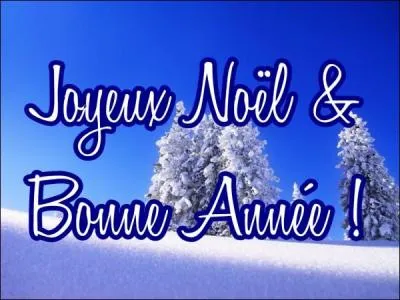 Comment dit-on  Joyeux Nol et bonne anne  en anglais ?