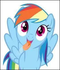 Quel est l'animal de compagnie de Rainbow Dash ?