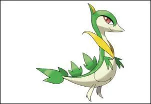 Quel est ce Pokmon et de quel type est-il ?