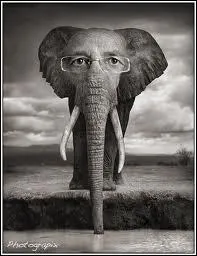 En quel animal est-il dguis ?